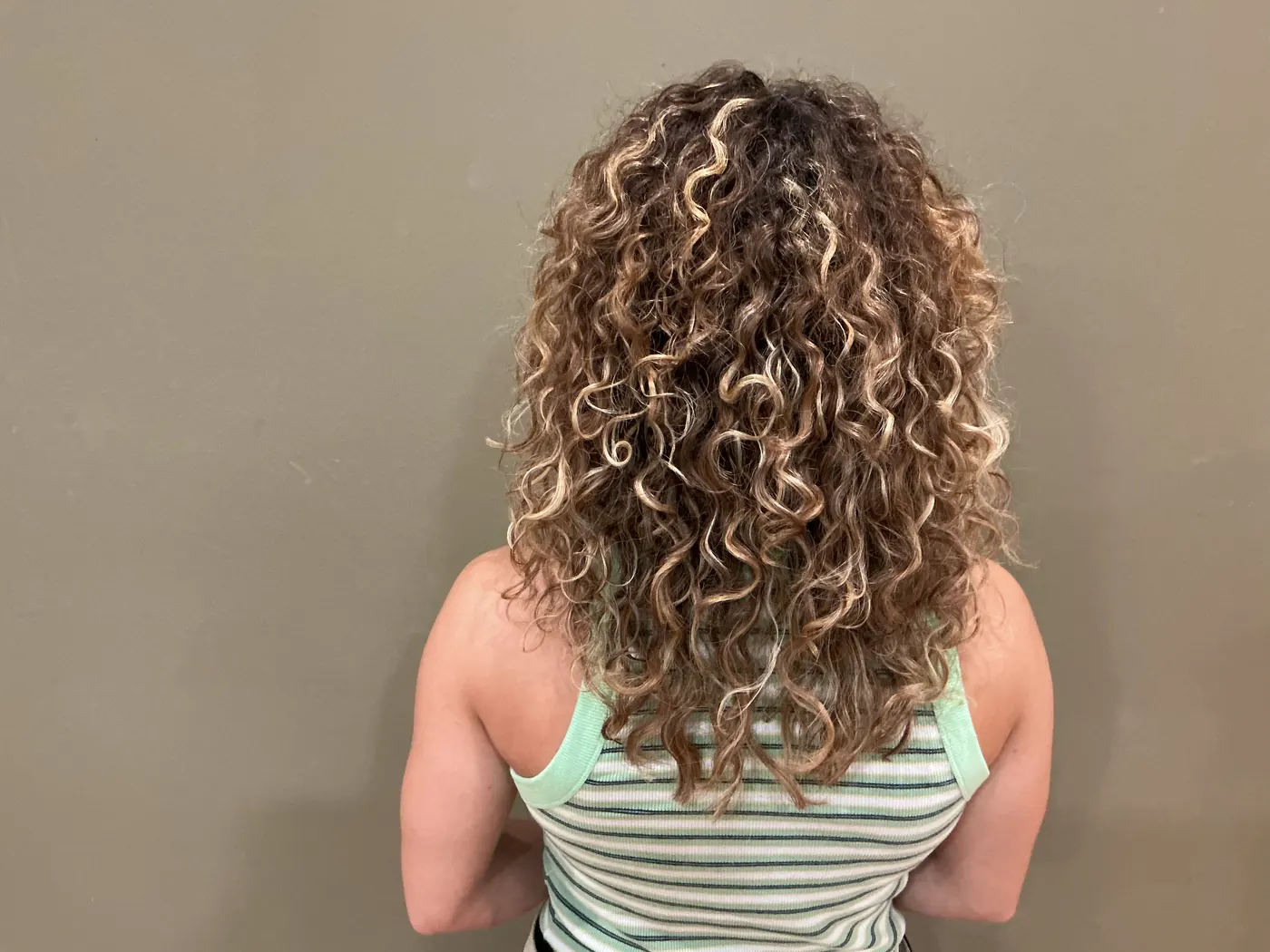 A curly haircut viewed from the back.